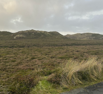 Sylt per Panoramabus erleben