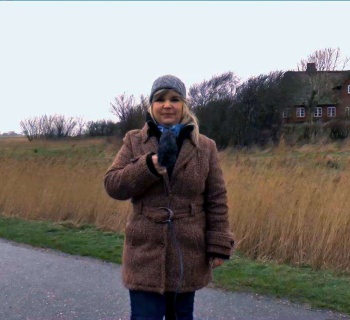 Sylt TV Videonews vom 12. Januar 2015