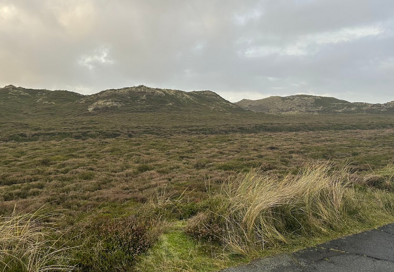 Sylt per Panoramabus erleben