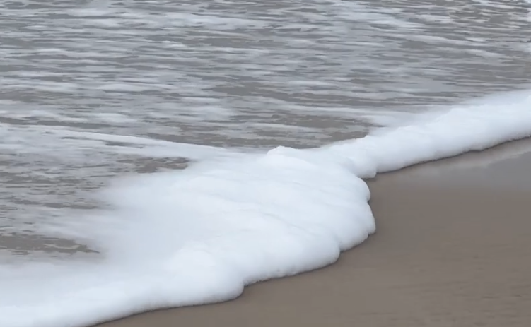 Sylt: Gefährlicher Schaum an Nordseeküste?